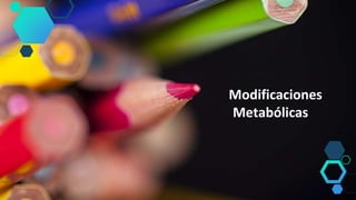 Modificaciones
Metabólicas
 