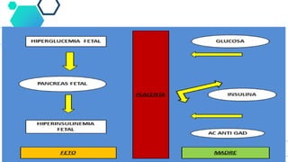 Modificaciones Metabólicas
 