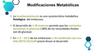 • La insulinoresistencia es una característica metabólica
fisiológica del embarazo.
• El desarrollo de la IR materna permite que los nutrientes
atraviesen la placenta ( 80% de las necesidades fetales
son de glucosa)
• En el 5 – 10 % de los embarazos la IR combinada con una
falla BETA CELULAR previa llevan al desarrollo de DG.
Modificaciones Metabólicas
 