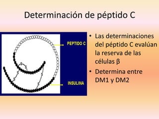 Determinación de péptido C

               • Las determinaciones
                 del péptido C evalúan
                 la reserva de las
                 células β
               • Determina entre
                 DM1 y DM2
 