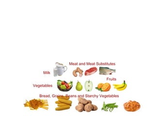 Bread, Grains, Beans and Starchy Vegetables  Fruits  Vegetables  Meat and Meat Substitutes   Milk  
