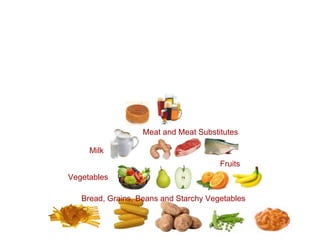 Bread, Grains, Beans and Starchy Vegetables  Fruits  Vegetables  Meat and Meat Substitutes   Milk  
