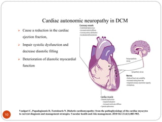 Cardiac autonomic neuropathy in DCM
 Cause a reduction in the cardiac
ejection fraction,
 Impair systolic dysfunction and
decrease diastolic filling
 Deterioration of diastolic myocardial
function
10
Voulgari C, Papadogiannis D, Tentolouris N. Diabetic cardiomyopathy: from the pathophysiology of the cardiac myocytes
to current diagnosis and management strategies. Vascular health and risk management. 2010 Oct 21;6(1):883-903.
 
