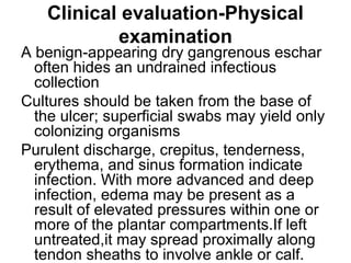 Clinical evaluation-Physical
examination
A benign-appearing dry gangrenous eschar
often hides an undrained infectious
collection
Cultures should be taken from the base of
the ulcer; superficial swabs may yield only
colonizing organisms
Purulent discharge, crepitus, tenderness,
erythema, and sinus formation indicate
infection. With more advanced and deep
infection, edema may be present as a
result of elevated pressures within one or
more of the plantar compartments.If left
untreated,it may spread proximally along
tendon sheaths to involve ankle or calf.
 