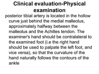 Clinical evaluation-Physical
examination
posterior tibial artery is located in the hollow
curve just behind the medial malleolus,
approximately halfway between the
malleolus and the Achilles tendon. The
examiner's hand should be contralateral to
the examined foot (i.e the right hand
should be used to palpate the left foot, and
vice versa), so that the curvature of the
hand naturally follows the contours of the
ankle
 