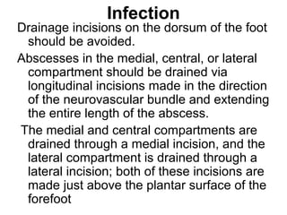 Infection
Drainage incisions on the dorsum of the foot
should be avoided.
Abscesses in the medial, central, or lateral
compartment should be drained via
longitudinal incisions made in the direction
of the neurovascular bundle and extending
the entire length of the abscess.
The medial and central compartments are
drained through a medial incision, and the
lateral compartment is drained through a
lateral incision; both of these incisions are
made just above the plantar surface of the
forefoot
 