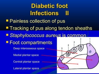 16
 Painless collection of pusPainless collection of pus
 Tracking of pus along tendon sheathsTracking of pus along tendon sheaths
 Staphylococcus aureusStaphylococcus aureus is commonis common
 Foot compartmentsFoot compartments
Diabetic footDiabetic foot
Infections IIInfections II
Deep interosseous space
Medial plantar space
Central plantar space
Lateral plantar space
 