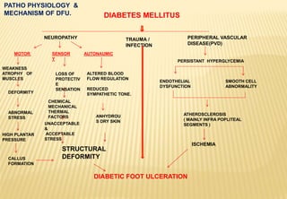 DIABETES MELLITUS
NEUROPATHY TRAUMA /
INFECTION
PERIPHERAL VASCULAR
DISEASE(PVD)
DIABETIC FOOT ULCERATION
MOTOR SENSOR
Y
AUTONAUMIC
WEAKNESS
ATROPHY OF
MUSCLES
DEFORMITY
ABNORMAL
STRESS
HIGH PLANTAR
PRESSURE
CALLUS
FORMATION
LOSS OF
PROTECTIV
E
SENSATION
ANHYDROU
S DRY SKIN
ALTERED BLOOD
FLOW REGULATION
REDUCED
SYMPATHETIC TONE.
PERSISTANT HYPERGLYCEMIA
ENDOTHELIAL
DYSFUNCTION
SMOOTH CELL
ABNORMALITY
ATHEROSCLEROSIS
( MAINLY INFRA POPLITEAL
SEGMENTS )
PATHO PHYSIOLOGY &
MECHANISM OF DFU.
STRUCTURAL
DEFORMITY
UNACCEPTABLE
&
ACCEPTABLE
STRESS
ISCHEMIA
CHEMICAL
MECHANICAL
THERMAL
FACTORS
 