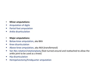 • Minor amputations:
 Amputation of digits
 Partial foot amputation
 Ankle disarticulation
• Major amputations:
 Below-knee amputation, aka BKA
 Knee disarticulation
 Above-knee amputation, aka AKA (transfemoral)
 Van Nes rotation/rotationplasty (foot turned around and reattached to allow the
ankle joint to be used as a knee)
 Hip disarticulation
 Hemipelvectomy/hindquarter amputation
 