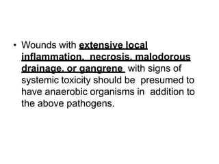 • Wounds with extensive local
inflammation, necrosis, malodorous
drainage, or gangrene with signs of
systemic toxicity should be presumed to
have anaerobic organisms in addition to
the above pathogens.
 