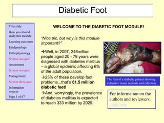 Title slide
How you should
study this module
Learning outcomes
Epidemiology
Pathophysiology
Section one quiz
Assessment
Section two quiz
Management
Section three quiz
Information
sources
“Nice pic, but why is this module
important?”
Well, in 2007, 246million
people aged 20 - 79 years were
diagnosed with diabetes mellitus
– a global epidemic affecting 6%
of the adult population.
25% of these develop foot
problems...that’s 61.5 million
diabetic feet!
And, worryingly, the prevalence
of diabetes mellitus is expected
to reach 333 million by 2025.
For information on the
authors and reviewers
click here
The foot of a diabetic patient showing
extensive tissue necrosis and infection
WELCOME TO THE DIABETIC FOOT MODULE!
Page 1 of 67
Diabetic Foot
 