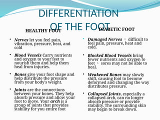 DIFFERENTIATION
OF THE FOOT
HEALTHY FOOT
• Nerves let you feel pain,
vibration, pressure, heat, and
cold
• Blood Vessels Carry nutrients
and oxygen to your feet to
nourish them and help them
heal from injuries.
• Bones give your foot shape and
help distribute the pressure
from your body's weight.
• Joints are the connections
between your bones. They help
absorb pressure and allow your
foot to move. Your arch is a
group of joints that provides
stability for you entire foot
DIABETIC FOOT
• Damaged Nerves  difficult to
feel pain, pressure, heat and
cold.
• Blocked Blood Vessels bring
fewer nutrients and oxygen to
feet  sores may not be able to
heal.
• Weakened Bones may slowly
shift, causing foot to become
deformed and changing the way
distributes pressure.
• Collapsed Joints, especially a
collapsed arch, can no longer
absorb pressure or provide
stability. The surrounding skin
may begin to break down.
 