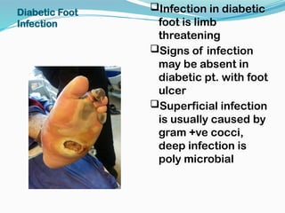 Infection in diabetic
foot is limb
threatening
Signs of infection
may be absent in
diabetic pt. with foot
ulcer
Superficial infection
is usually caused by
gram +ve cocci,
deep infection is
poly microbial
Diabetic Foot
Infection
 