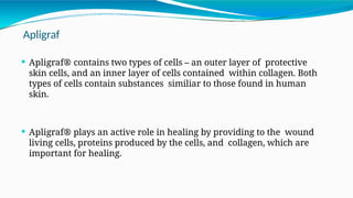 Comprehensive Guide to Diabetic Foot Ulcers: Diagnosis and Management ...
