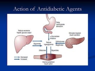 Action of Antidiabetic Agents
 