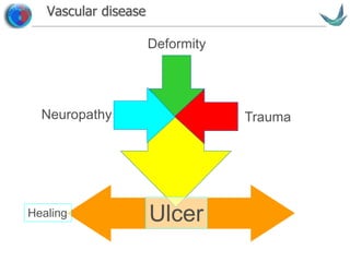 Vascular surgery @ Tallaght
Vascular disease
Neuropathy
Deformity
Trauma
UlcerHealing
 