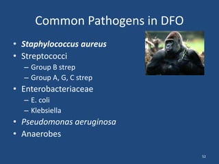 Common Pathogens in DFO 
• Staphylococcus aureus 
• Streptococci 
– Group B strep 
– Group A, G, C strep 
• Enterobacteriaceae 
– E. coli 
– Klebsiella 
• Pseudomonas aeruginosa 
• Anaerobes 
52 
 