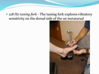  128 Hz tuning fork - The tuning fork explores vibratory
sensitivity on the dorsal side of the 1st metatarsal
 