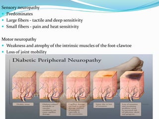 Sensory neuropathy
 Predominates
 Large fibers - tactile and deep sensitivity
 Small fibers - pain and heat sensitivity
Motor neuropathy
 Weakness and atrophy of the intrinsic muscles of the foot-clawtoe
 Loss of joint mobility
 