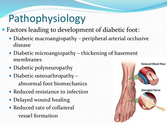 powerpoint presentation of diabetic foot diseases Diabetic foot infection ppt video online download.