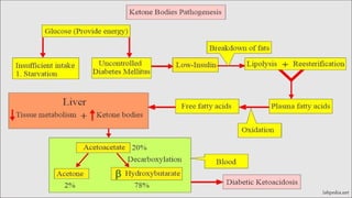 DIABETIC KETOACIDOSIS management in EMERGENCY DEPARTMENT | PPTX