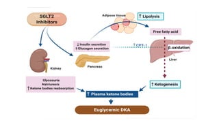 DIABETIC KETOACIDOSIS management in EMERGENCY DEPARTMENT | PPTX