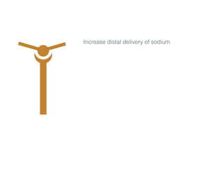 Increase distal delivery of sodium
 