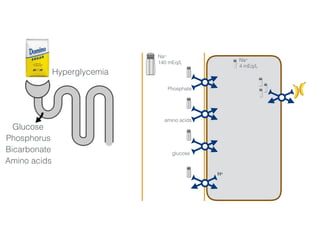 Na+
140 mEq/L Na+
4 mEq/L
Phosphate
amino acids
glucose
H+
3456 mmol/day 50-100 mmol/day
Glucose
Phosphorus
Bicarbonate
Amino acids
Hyperglycemia
Glucose
 