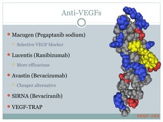 Anti-VEGFs
Macugen (Pegaptanib sodium)
 Selective VEGF blocker
Lucentis (Ranibizumab)
 More efficacious
Avastin (Bevacizumab)
 Cheaper alternative
SIRNA (Bevaciranib)
VEGF-TRAP
VEGF-165
 