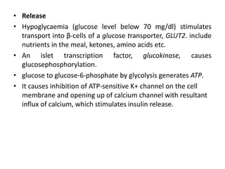 • Release
• Hypoglycaemia (glucose level below 70 mg/dl) stimulates
transport into β-cells of a glucose transporter, GLUT2. include
nutrients in the meal, ketones, amino acids etc.
• An islet transcription factor, glucokinase, causes
glucosephosphorylation.
• glucose to glucose-6-phosphate by glycolysis generates ATP.
• It causes inhibition of ATP-sensitive K+ channel on the cell
membrane and opening up of calcium channel with resultant
influx of calcium, which stimulates insulin release.
 