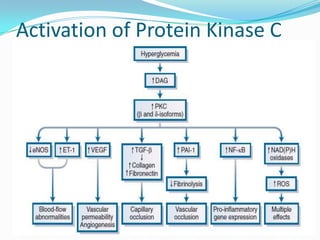 Activation of Protein Kinase C
 