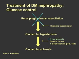 Renal preglomerular vasodilation
Systemic hypertension
Glomerular hypertension
Glomerular sclerosis
Hyperglycemia
Genetic factors
metabolism of glom. cells
Treatment of DM nephropathy:
Glucose control
from T. Hostetter
 