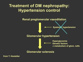 Renal preglomerular vasodilation
Systemic hypertension
Glomerular hypertension
Glomerular sclerosis
Hyperglycemia
Genetic factors
metabolism of glom. cells
Treatment of DM nephropathy:
Hypertension control
from T. Hostetter
 