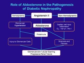 Role of Aldosterone in the Pathogenesis
of Diabetic Nephropathy
 