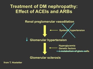Renal preglomerular vasodilation
Systemic hypertension
Glomerular hypertension
Glomerular sclerosis
Hyperglycemia
Genetic factors
metabolism of glom. cells
Treatment of DM nephropathy:
Effect of ACEIs and ARBs
from T. Hostetter
 