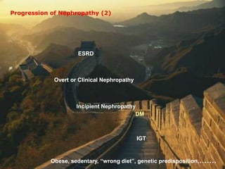 Obese, sedentary, “wrong diet”, genetic predisposition,…….
IGT
DM
Incipient Nephropathy
Overt or Clinical Nephropathy
ESRD
Progression of Nephropathy (2)
 
