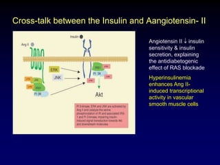 Cross-talk between the Insulin and Aangiotensin- II
Angiotensin II insulin
sensitivity & insulin
secretion, explaining
the antidiabetogenic
effect of RAS blockade
Hyperinsulinemia
enhances Ang II-
induced transcriptional
activity in vascular
smooth muscle cells
 