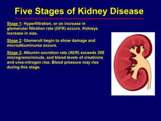 Five Stages of Kidney Disease
Stage 1: Hyperfiltration, or an increase in
glomerular filtration rate (GFR) occurs. Kidneys
increase in size.
Stage 2: Glomeruli begin to show damage and
microalbuminurea occurs.
Stage 3: Albumin excretion rate (AER) exceeds 200
micrograms/minute, and blood levels of creatinine
and urea-nitrogen rise. Blood pressure may rise
during this stage.
 