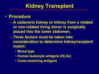 Kidney Transplant
• Procedure
– A cadaveric kidney or kidney from a related
or non-related living donor is surgically
placed into the lower abdomen.
– Three factors must be taken into
consideration to determine kidney/recipient
match:
• Blood type
• Human leukocyte antigens (HLAs)
• Cross-matching antigens
 