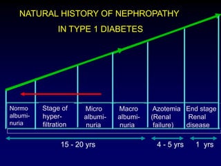 Stage of
hyper-
filtration
Micro
albumi-
nuria
Macro
albumi-
nuria
Azotemia
(Renal
failure)
End stage
Renal
disease
Normo
albumi-
nuria
NATURAL HISTORY OF NEPHROPATHY
IN TYPE 1 DIABETES
15 - 20 yrs 1 yrs4 - 5 yrs
 