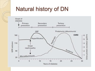 Natural history of DN
 