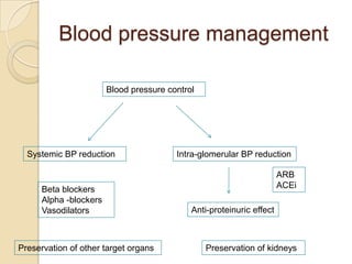 Blood pressure management
Systemic BP reduction Intra-glomerular BP reduction
Anti-proteinuric effect
Blood pressure control
Beta blockers
Alpha -blockers
Vasodilators
ARB
ACEi
Preservation of other target organs Preservation of kidneys
 
