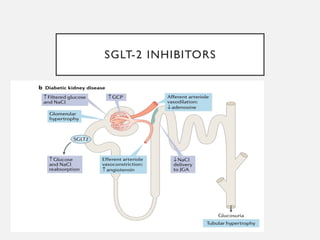SGLT-2 INHIBITORS
 