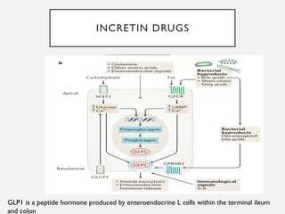 INCRETIN DRUGS
GLP1 is a peptide hormone produced by enteroendocrine L cells within the terminal ileum
and colon
 