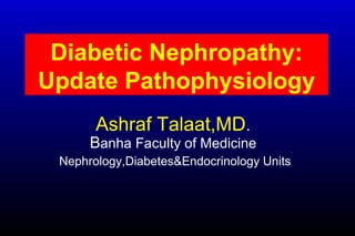 Diabetic Nephropathy:
Update Pathophysiology
Ashraf Talaat,MD.
Banha Faculty of Medicine
Nephrology,Diabetes&Endocrinology Units
 