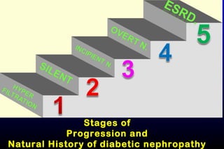 Stages of
Progression and
Natural History of diabetic nephropathy
 