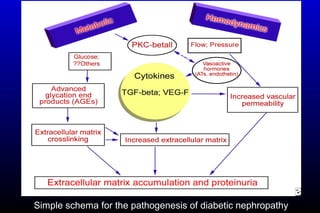 Simple schema for the pathogenesis of diabetic nephropathy
 
