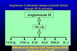 Angiotensin II stimulates release of growth factors
through NF-B activation
Wiecek et al. Nephrol Dial Transplant (2003)
 