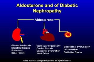 Glomerulosclerosis
Interstitial Fibrosis
Proteinuria
Renal Failure
Ventricular Hypertrophy
Cardiac Fibrosis
Contractile Dysfunction
Heart Failure
Endothelial dysfunction
Inflammation
Oxidative Stress
Aldosterone
©2005. American College of Physicians. All Rights Reserved.
Aldosterone and of Diabetic
Nephropathy
 