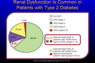 Russo E, et al. Diabetes Metab Syndr Obes. 2013; 6: 161–170.
 